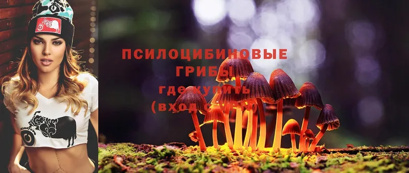 Галлюциногенные грибы Magic Shrooms  купить   Переславль-Залесский 